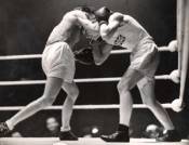 http://www.nightbluetheater.com/images/public/boxersbnr.jpg